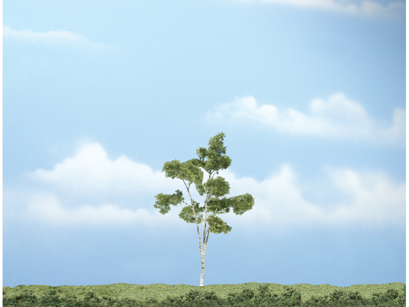 bříza 1 ks Woodland Scenics TR1616